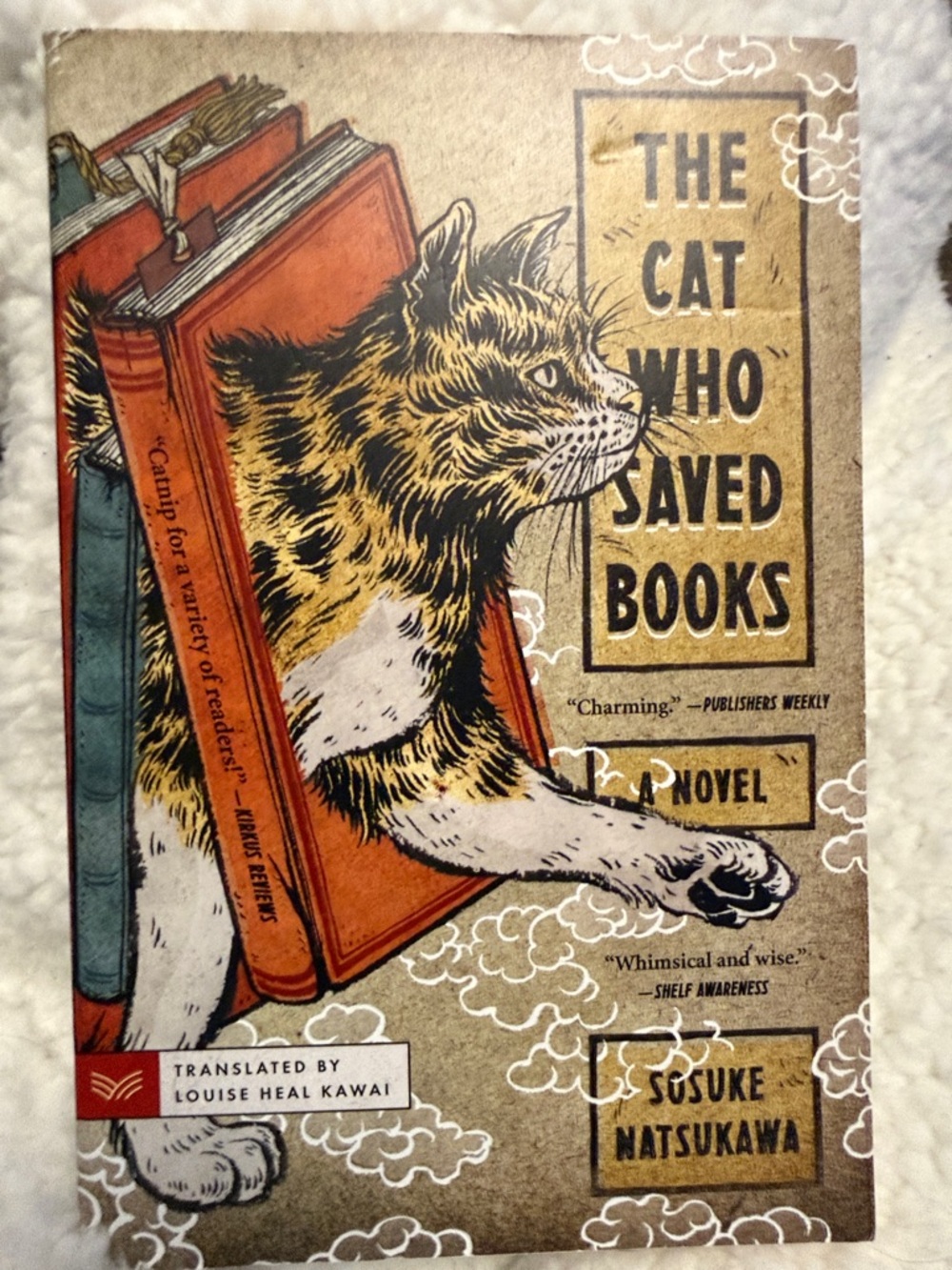 The Cat Who Saved Books Paperback - Whimsical and Wise. Great condition. A must!